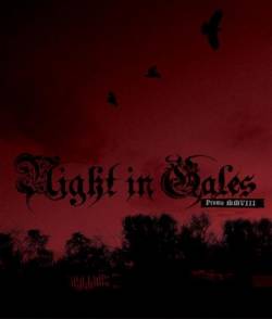 Night In Gales : Promo MMVIII